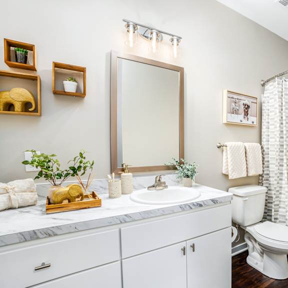 a bathroom with a shower toilet and sink and a mirror