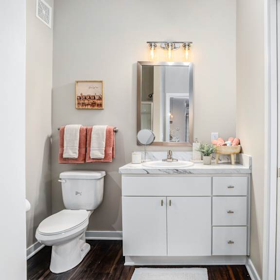 a bathroom with a toilet and a sink and a mirror