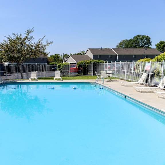the swimming pool at the falls at rolland park apartments fl