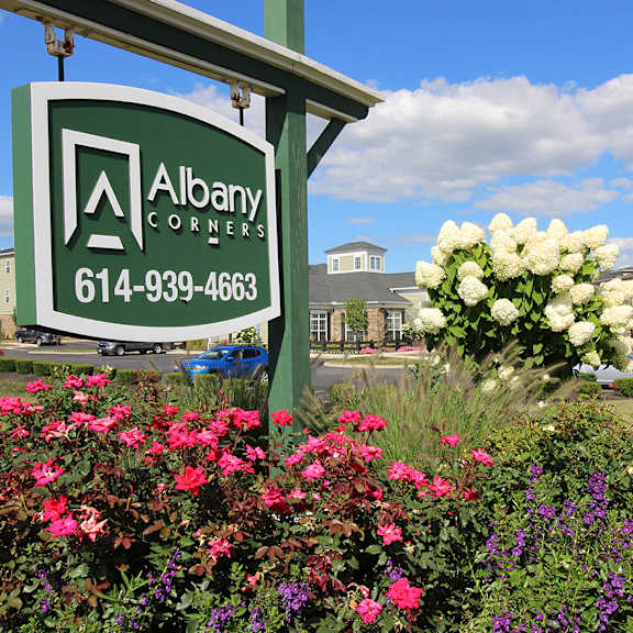 albany corners