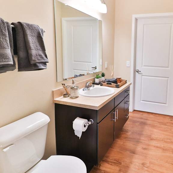 a bathroom with a sink and a toilet and a shower