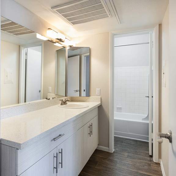 a bathroom with a sink and a mirror and a shower