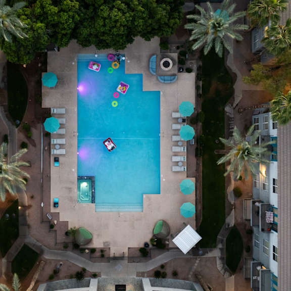 a swimming pool surrounded by palm trees and a building.
