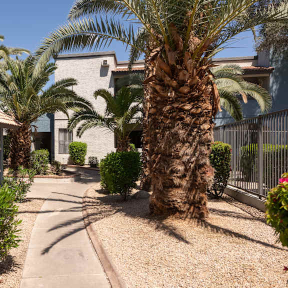 a walkway with palm trees in front of a building