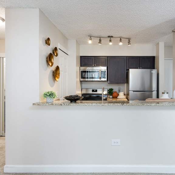 300 e seventeenth apartment kitchen with stainless steel appliances