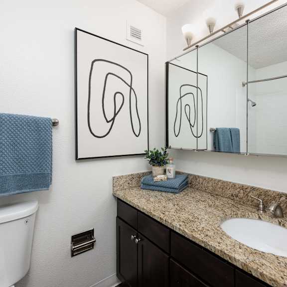 a bathroom with a large mirror and a sink