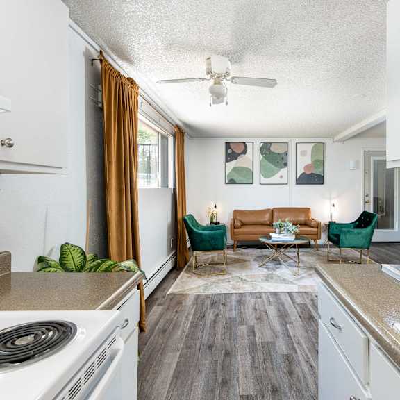 the preserve at ballantyne commons apartment living room and kitchen