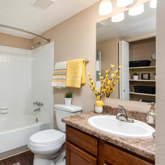 a bathroom with a shower and a sink and a toilet
