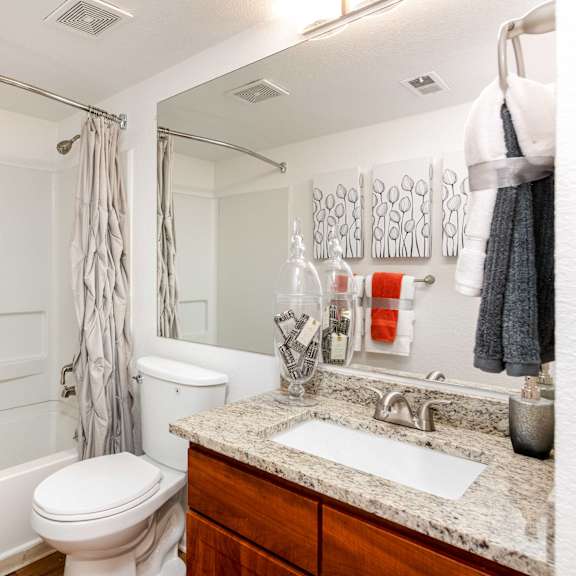 a bathroom with a shower toilet and sink and a mirror