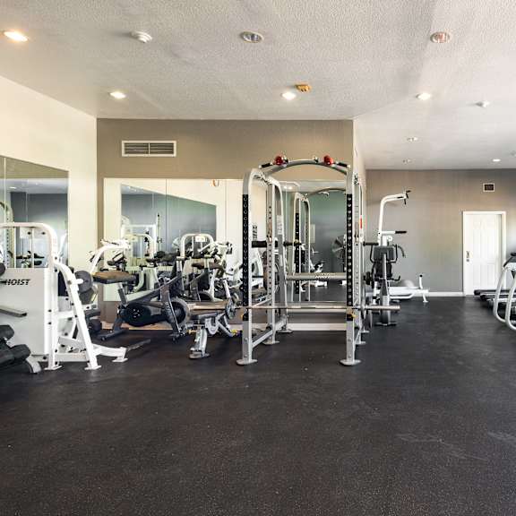 the gym is equipped with a variety of weights and cardio equipment