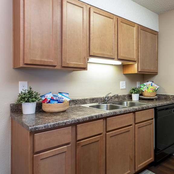 our apartments have a kitchen with a black refrigerator and a sink