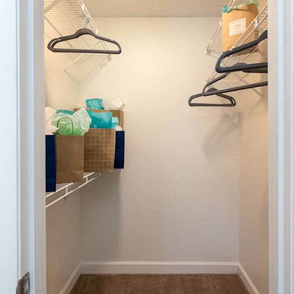 tampa apartments with balcony at arbour ponds aspen bedroom closet2x2 950 sq ft