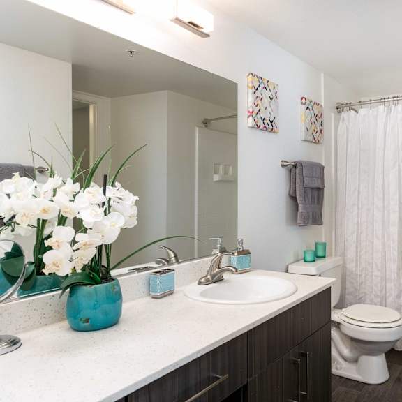 a bathroom with a sink and a toilet and a shower