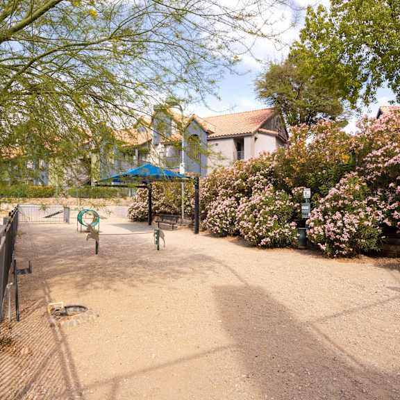 a playground in a park with trees and a fence