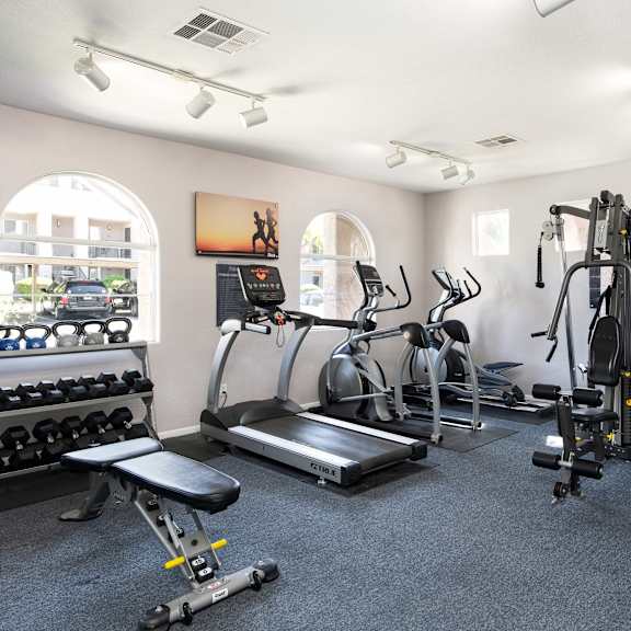 the gym is equipped with cardio equipment and weights
