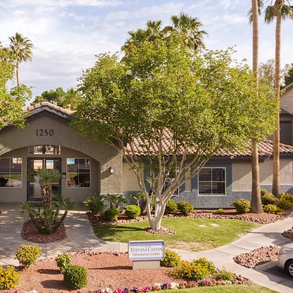 an exterior view of a building with palm trees