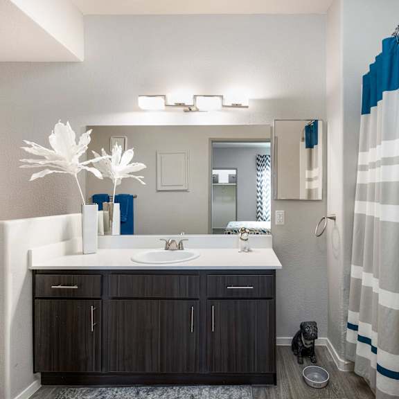 a bathroom with a shower and a sink and a mirror