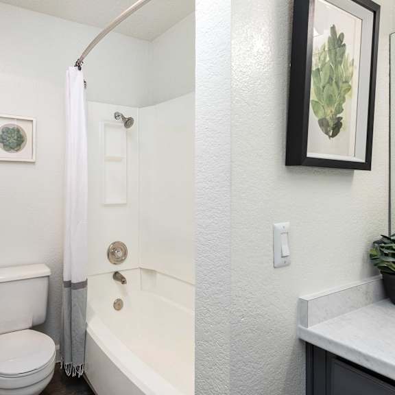 a bathroom with a shower and a toilet and a sink