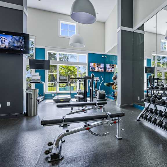 a gym with a variety of equipment including weights and treadmills.