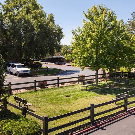 a view of the yard of a fenced in yard with trees and a truck