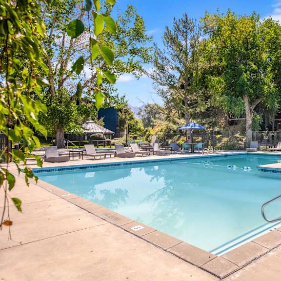 the swimming pool at our apartments