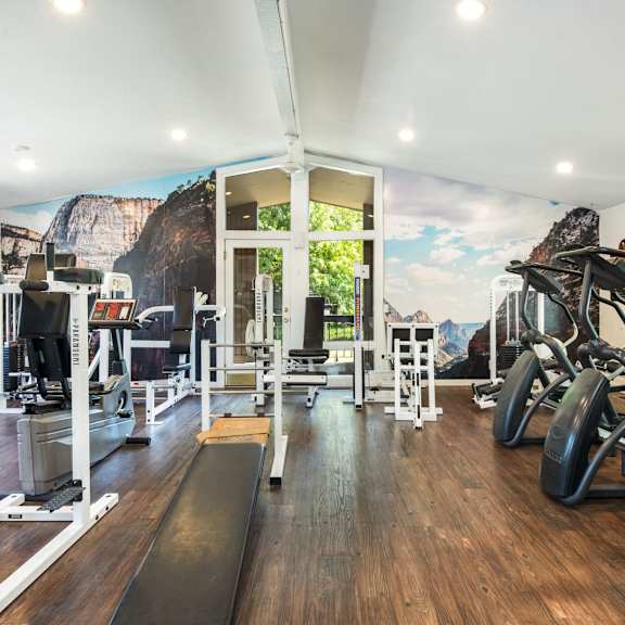 a home gym with exercise equipment and a mural on the wall
