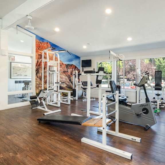 a home gym with exercise equipment and a mural on the wall