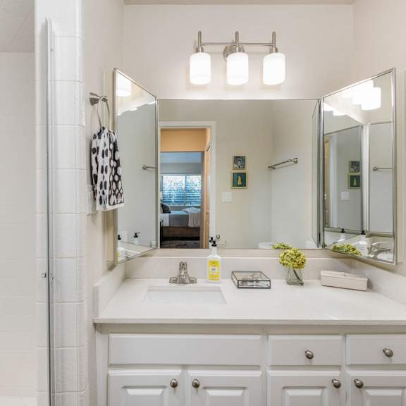 a bathroom with a sink and a shower and a mirror