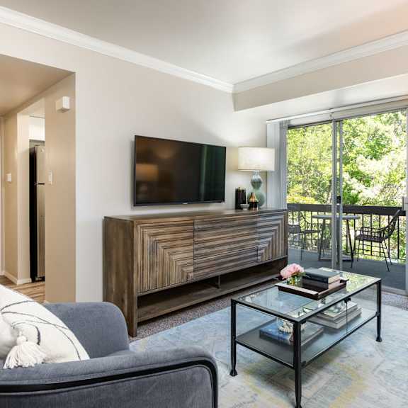 a living room with a couch and a coffee table and a television