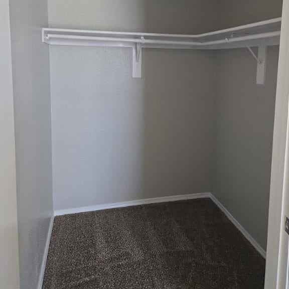 2-bedroom primary bedroom walk-in closet