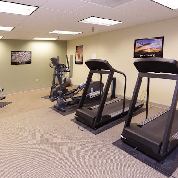 a gym with treadmills, elliptical machines, and other exercise equipment.