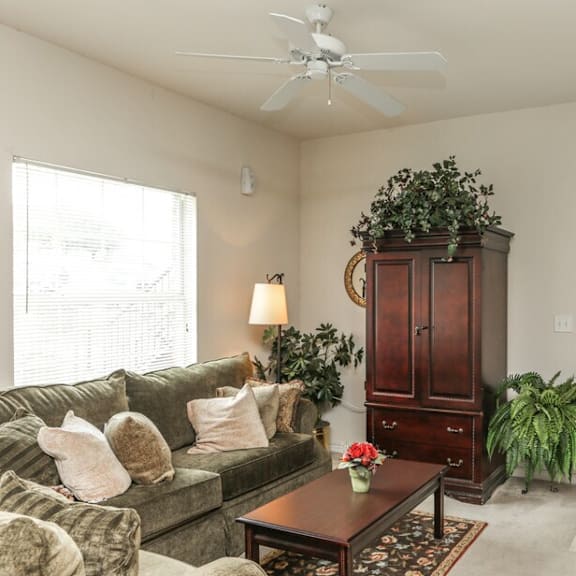 a living room with a couch, a coffee table, a plant, and a cabinet.