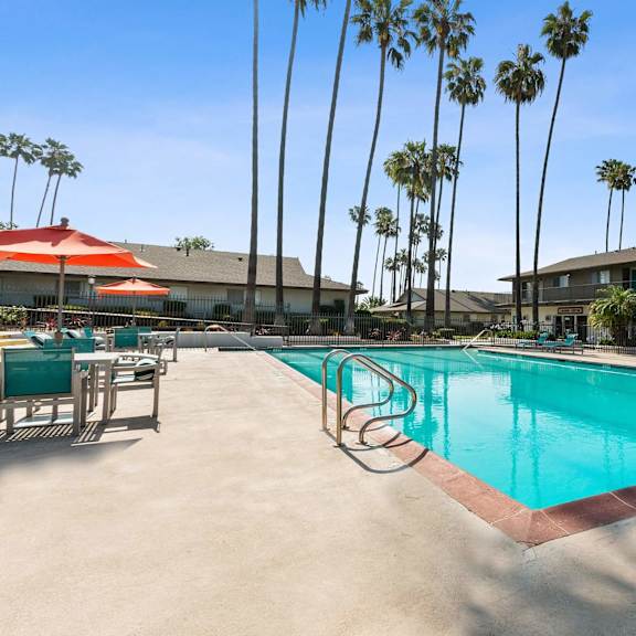 the swimming pool at our hotel in palm springs