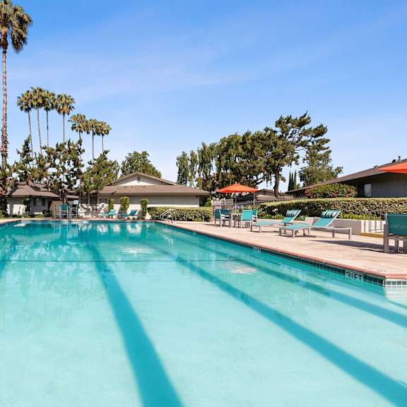 pool at terramonte apartment homes, pomona