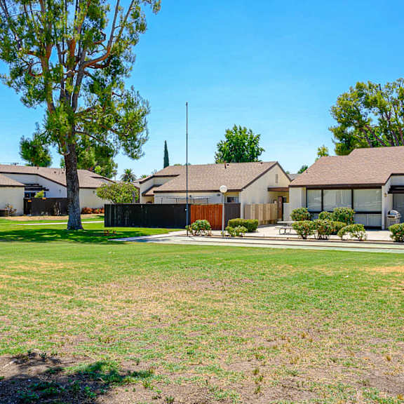 a row of houses with a tree in front of them.