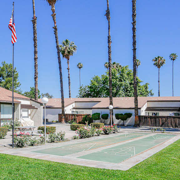 a flag is flying in front of a building with palm trees.