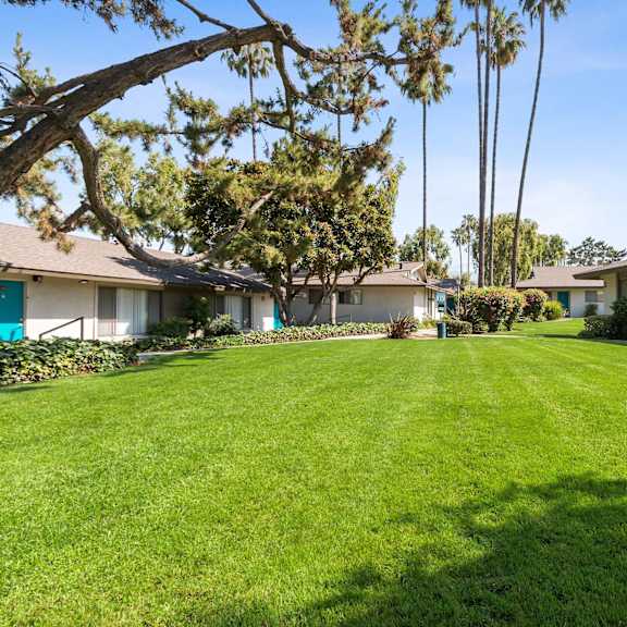 grassy area in between apartments with palm trees and bushes in the back at terramonte apartment homes, pomona, 91767