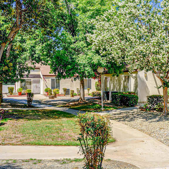 a residential area with houses and flowering trees.