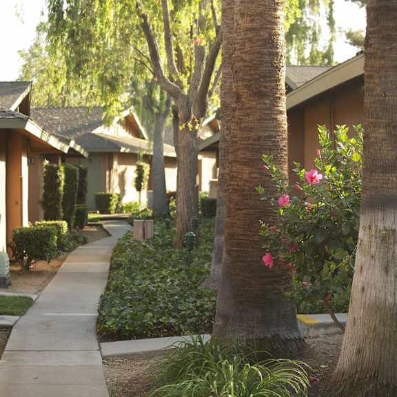 a row of houses with trees and a sidewalk at terramonte apartment homes, california, 91767