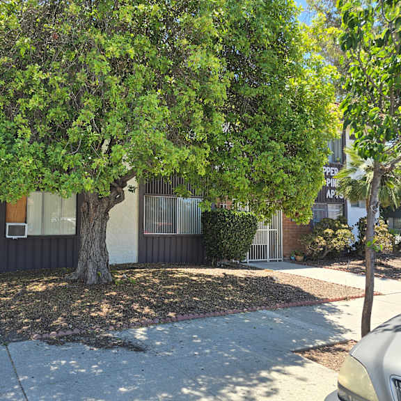 a tree in front of a house.