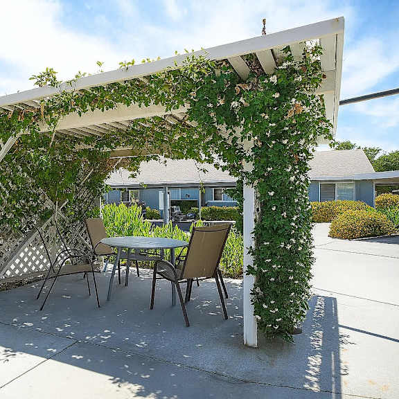 a white pergola with green vines growing on it is situated on a patio with a table and chairs.