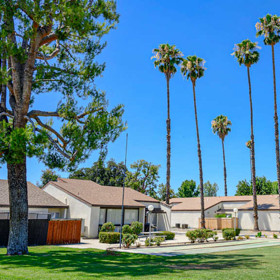 a row of palm trees in front of a house.