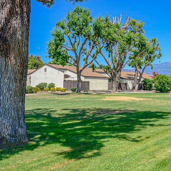 a large grassy field with trees and houses in the background.