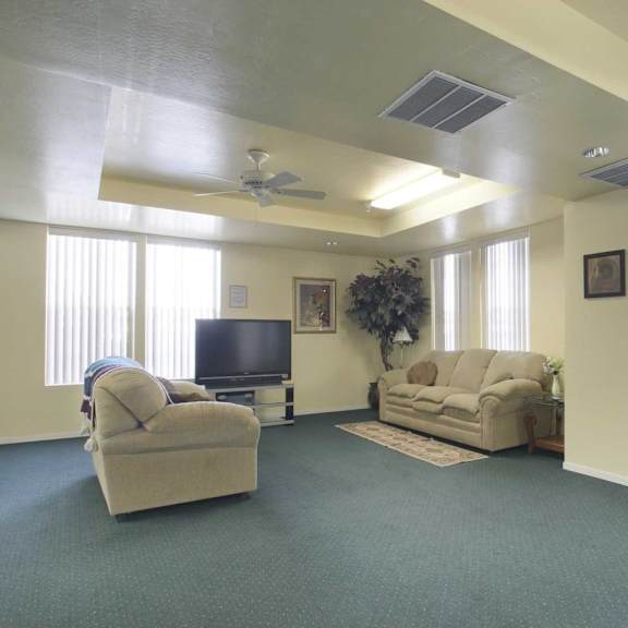 a living room with a television, two couches, and a ceiling fan.