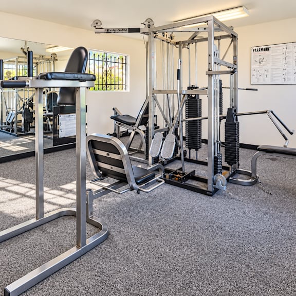 a gym with a variety of equipment including a weight bench, a leg press machine, and a squat rack.