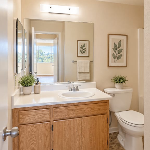 a bathroom with a white toilet, a sink, and a mirror.