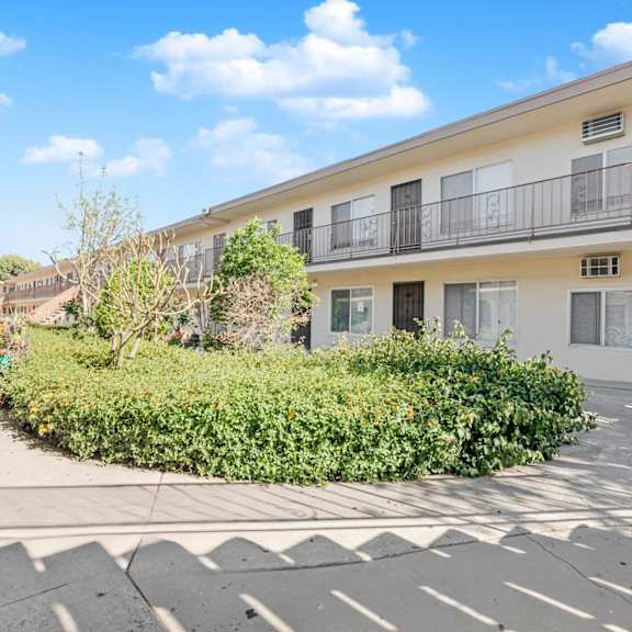 a sunny day at a residential area with apartment buildings and a tree in the front yard.