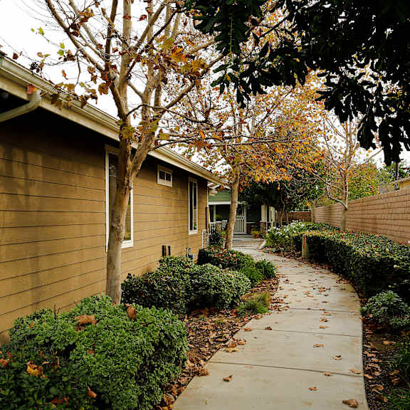 a sidewalk runs between two rows of houses.