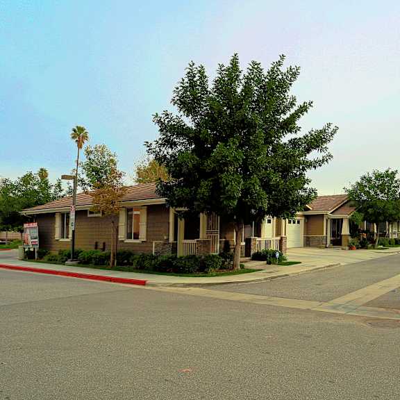 a street view of a residential area with houses on both sides.