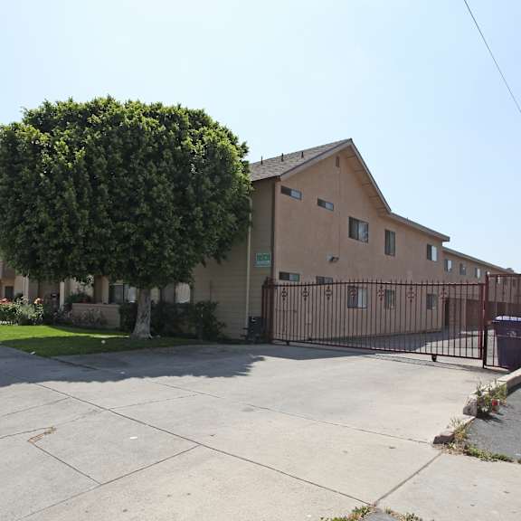 a large tree is in front of a building.